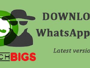 Whatsapp Hack Helpline No