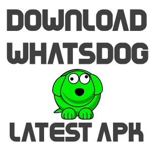 Whatsapp Pro Hack Torrent Windows