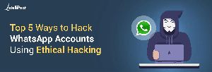 Whatsapp Sniffer Hacker 2015