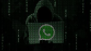 Hacking Whatsapp Status Video