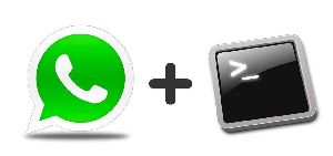 Punishment for Hacking Whatsapp in India