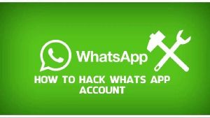 Whatsapp Hack Online 2017 Review