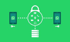 Whatsapp Hack 3.0 Download